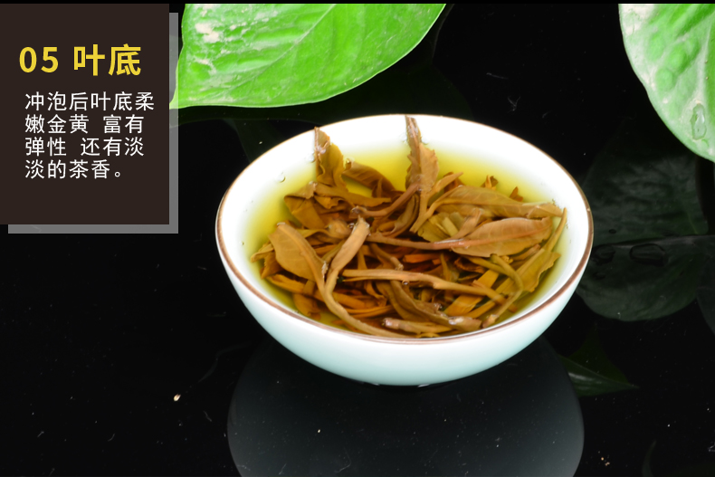老班盆_13.jpg